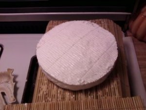 Brie-Day 1