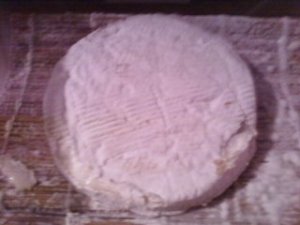 Brie-Day 5